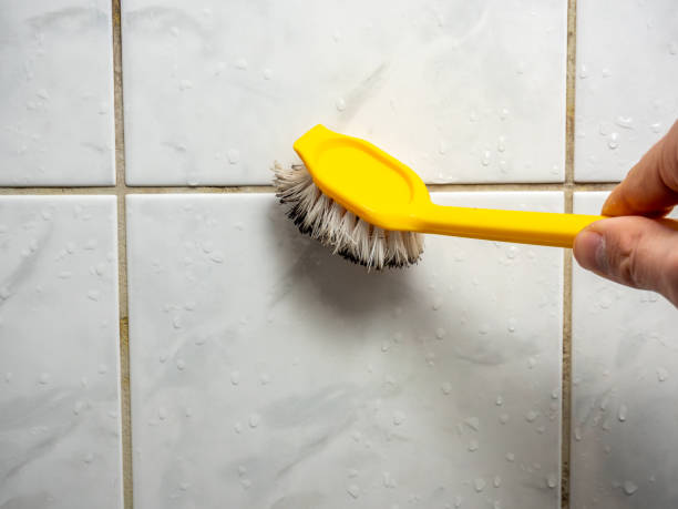 Best Certified Mold Removal  in Wyomissing, PA