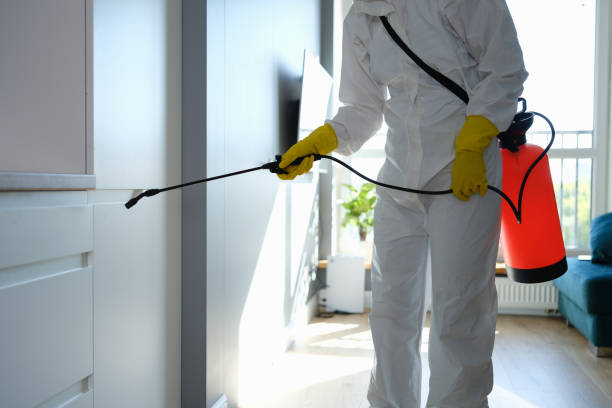 Best Mold Damage Repair  in Wyomissing, PA